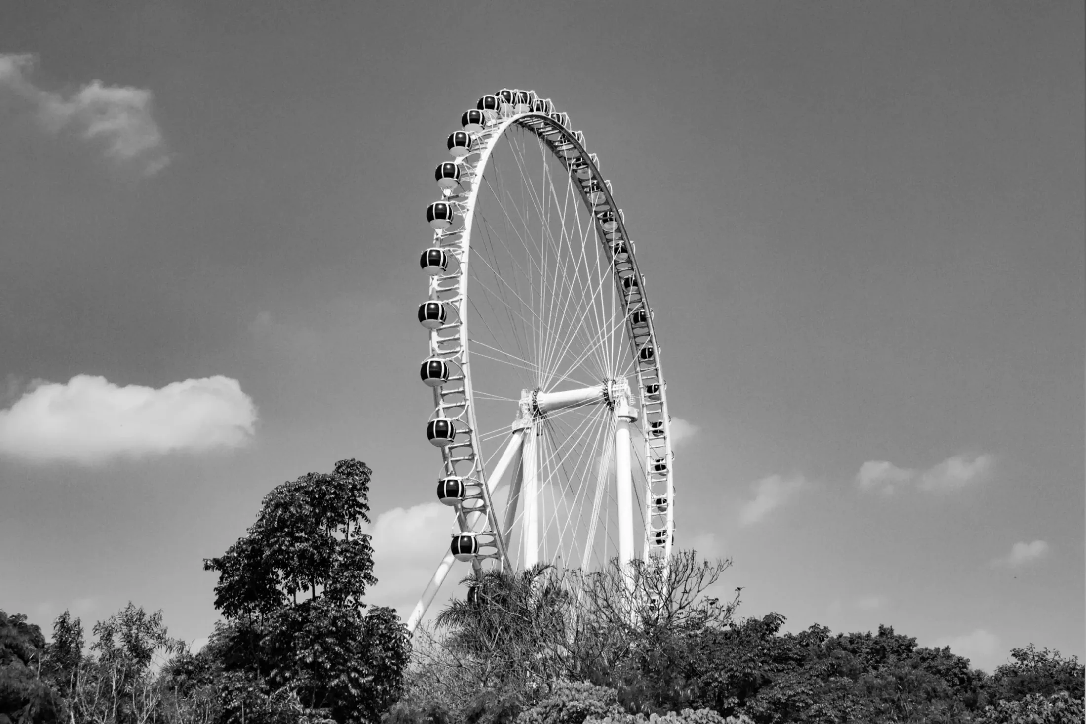 Roda-gigante branca acima das árvores, com o céu e nuvens ao fundo. Foto em preto e branco.
